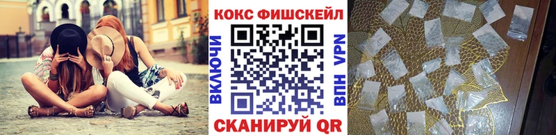 COCAIN Fish Scale Купить Гатчина