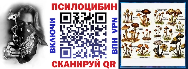 Псилоцибиновые грибы GOLDEN TEACHER  Купить закладки  Гатчина 